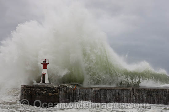 Huge wave breaking against harbor wall during a storm. Kalk Bay, Cape Town, South Africa Photo - Chris and Monique Fallows