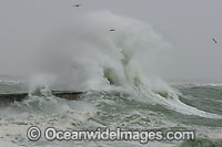 Wave breaking over lighthouse Photo - Chris and Monique Fallows