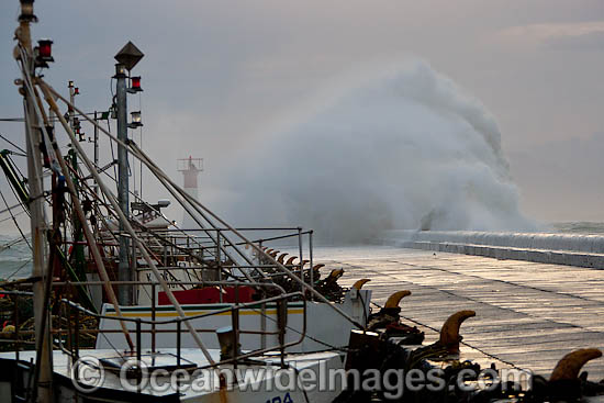 Huge wave breaking against harbor wall during a storm. Kalk Bay, Cape Town, South Africa Photo - Chris and Monique Fallows