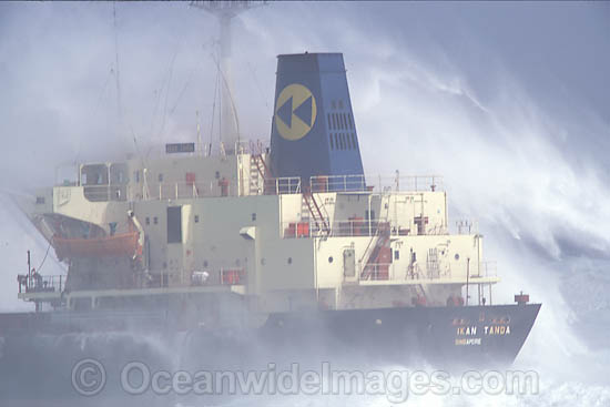Huge wave breaking against a cargo ship during a storm. Cape Town, South Africa Photo - Chris and Monique Fallows