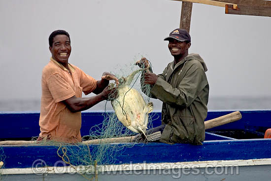 Fisherman with Turtle in net photo Fisherman with Turtle in net photo