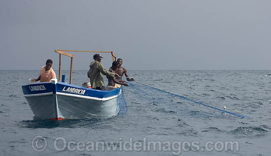 Fisherman haul in gill net photo Fisherman haul in gill net photo