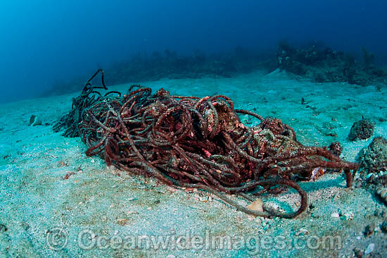 Rope litters coral reef photo