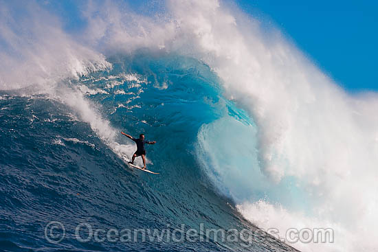 A tow-in surfer drops to the curl of Hawaii's big surf at Peahi (Jaws) off Maui, Hawaii, Pacific Ocean. Photo - David Fleetham A tow-in surfer drops to the curl of Hawaii's big surf at Peahi (Jaws) off Maui, Hawaii, Pacific Ocean. Photo - David Fleetham