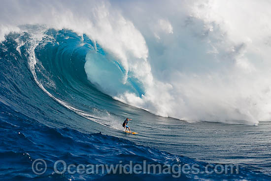 A tow-in surfer drops to the curl of Hawaii's big surf at Peahi (Jaws) off Maui, Hawaii, Pacific Ocean. Photo - David Fleetham A tow-in surfer drops to the curl of Hawaii's big surf at Peahi (Jaws) off Maui, Hawaii, Pacific Ocean. Photo - David Fleetham