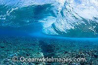 Surf crashing on reef Photo - David Fleetham