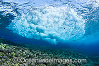 Surf crashing on reef Photo - David Fleetham