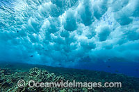 Wave crashing on reef Photo - David Fleetham