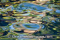 Ocean surface reflection Photo - David Fleetham