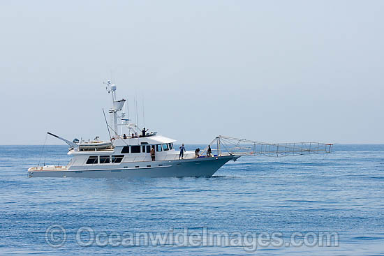Swordfish fishing vessel photo