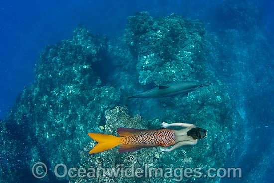 Mermaid lady dolphin tail photo