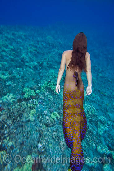 Mermaid lady dolphin tail photo