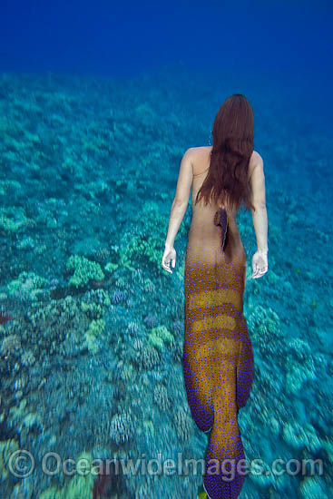 Mermaid lady dolphin tail photo Mermaid lady dolphin tail photo