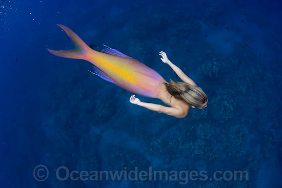 Mermaid lady dolphin tail photo
