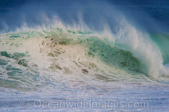 Crashing Wave photo