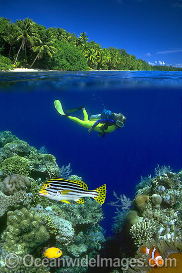 Under over picture of a scuba diver (MR) observing tropical fish on a coral reef. This is a composite image, comprising of 2 or more images digitally merged together. Photo - David Fleetham Under over picture of a scuba diver (MR) observing tropical fish on a coral reef. This is a composite image, comprising of 2 or more images digitally merged together. Photo - David Fleetham