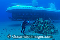 Scuba Diver filming Atlantis submarine Photo - David Fleetham