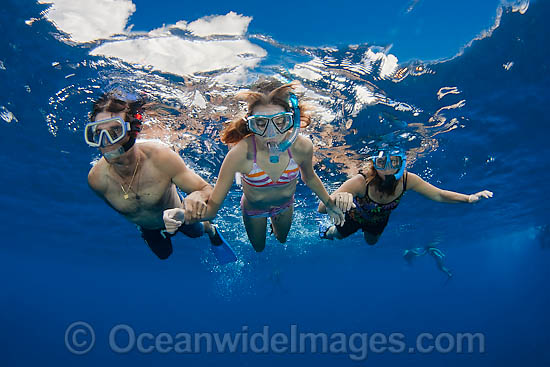 Snorkel divers (MR) exploring a reef off Hawaii, USA. Photo - David Fleetham