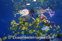 Snorkelers with Butterflyfish Photo - David Fleetham