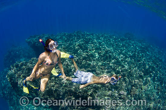 A couple of snorkelers (MR) free diving over Second Cathedral, a popular scuba diving site off the island of Lanai, Hawaii, USA Photo - David Fleetham A couple of snorkelers (MR) free diving over Second Cathedral, a popular scuba diving site off the island of Lanai, Hawaii, USA Photo - David Fleetham