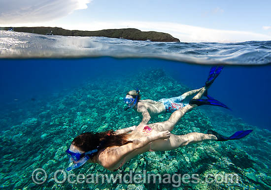 A couple of snorkelers (MR) free diving off Molokini Marine Preserve, Maui, Hawaii, USA Photo - David Fleetham