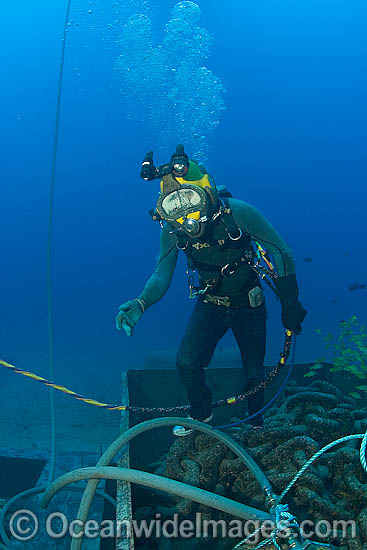 Commercial Diving photo