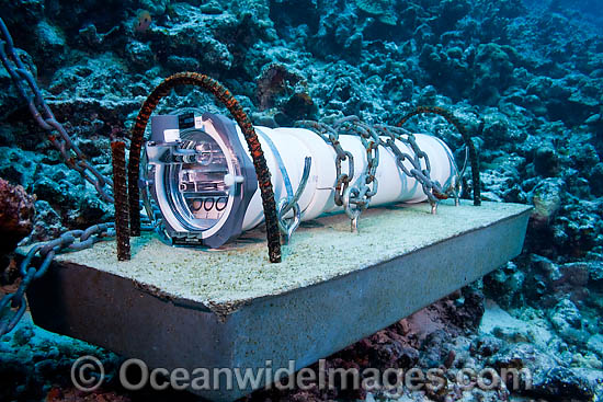 A sound recording device from the University of Hawaii anchored on a reef off the Big Island, Hawaii, Pacific Ocean. Photo - David Fleetham A sound recording device from the University of Hawaii anchored on a reef off the Big Island, Hawaii, Pacific Ocean. Photo - David Fleetham