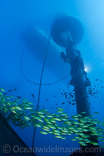 Diver installs Wave Energy Buoy photo