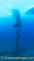 Wave Energy Buoy anchored Photo - David Fleetham