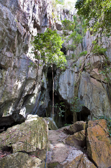 Capricorn Caves, showing the entrance to a large limestone cavern. Situated near Rockhampton, Queensland, Australia Photo - Gary Bell Capricorn Caves, showing the entrance to a large limestone cavern. Situated near Rockhampton, Queensland, Australia Photo - Gary Bell