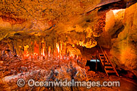 Limestone Caves stalagtites Photo - Gary Bell