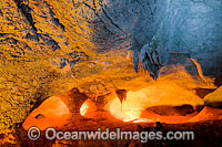 Limestone Caves stalagmites Photo - Gary Bell