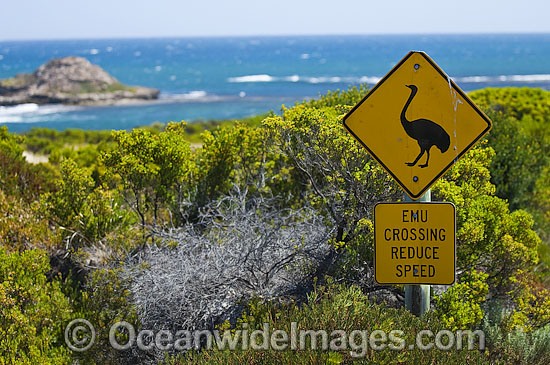 Emu Road Sign photo