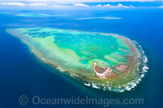 Aerial view of One Tree Island and reef, with Wistari Reef, Heron Island Reef and Sykes Reef visible in background. One Tree Island is a small coral cay located near the Tropic of Capricorn, Sth Great Barrier Reef, Australia, part of the Capricorn Group. Photo - Gary Bell Aerial view of One Tree Island and reef, with Wistari Reef, Heron Island Reef and Sykes Reef visible in background. One Tree Island is a small coral cay located near the Tropic of Capricorn, Sth Great Barrier Reef, Australia, part of the Capricorn Group. Photo - Gary Bell