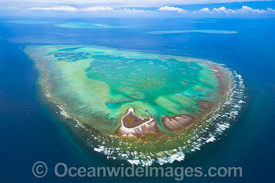 Heron Island Sykes Reef photo