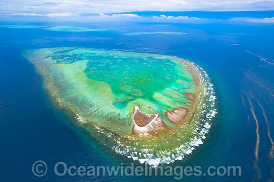 Aerial of Heron Reef and Wistari photo