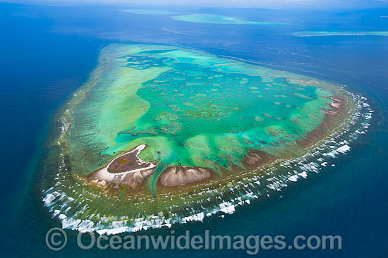 One Tree Island with Wistari Reef photo One Tree Island with Wistari Reef photo