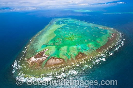 One Tree Island and Heron Reef photo