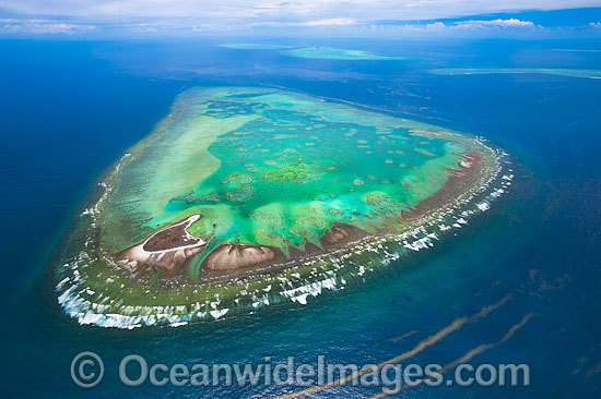 One Tree Island with Sykes Reef photo