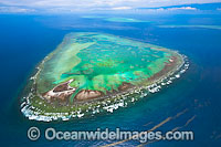 One Tree Island with Sykes Reef Photo - Gary Bell