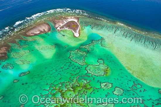 One Tree Island reef lagoon photo