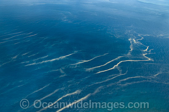 Great Barrier Reef Red Tide photo
