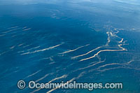 Great Barrier Reef Red Tide Photo - Gary Bell