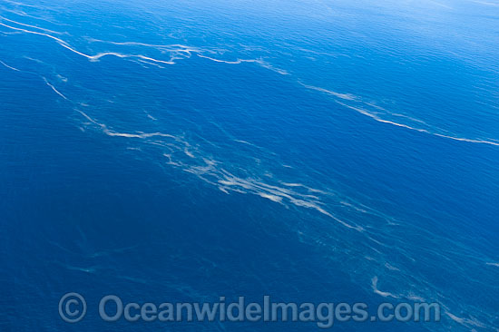 Red Tide Great Barrier Reef photo