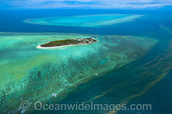 Heron Island Reef photo Heron Island Reef photo