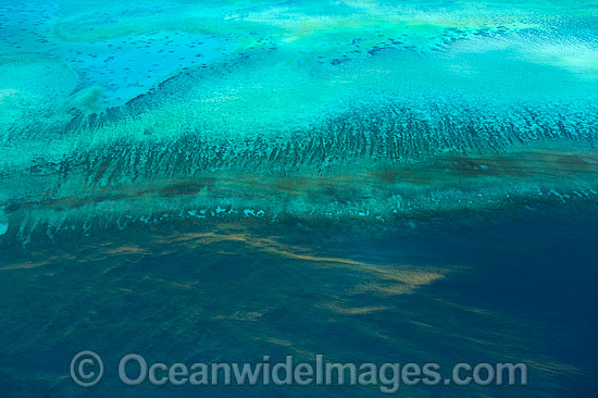 Red Tide near Heron Isalnd Reef photo