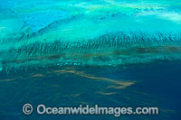 Red Tide near Heron Isalnd Reef Photo - Gary Bell