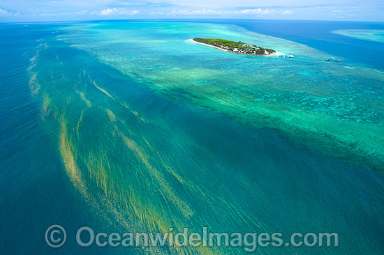 Red Tide near Heron Island photo