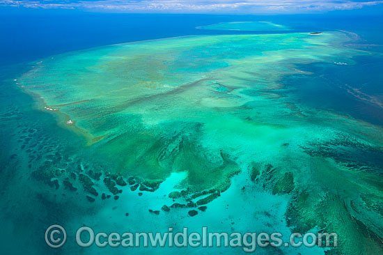 Heron Island Wistari Reef photo