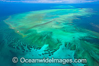 Heron Island Wistari Reef Photo - Gary Bell